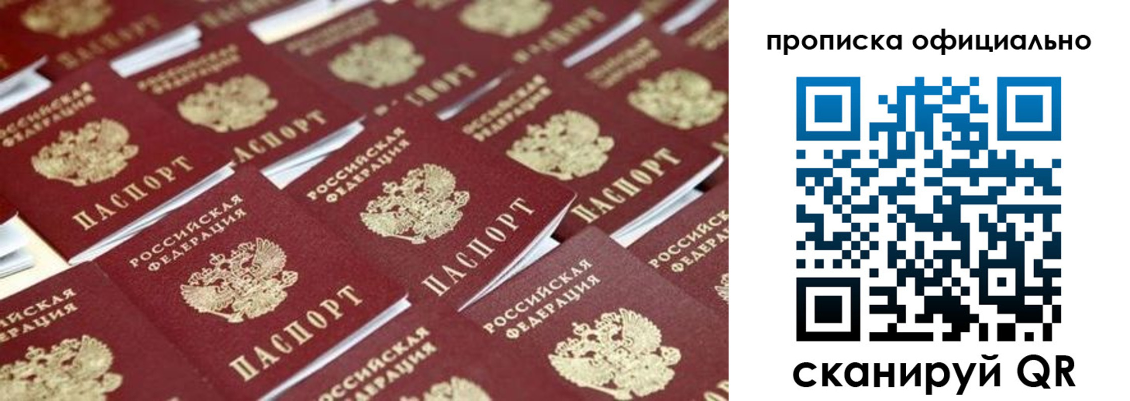 прописка гарантия в Хабаровске